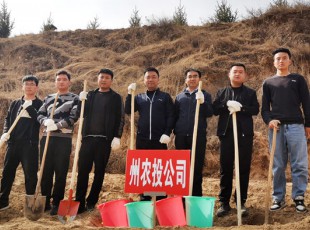 J9.COM参与2021年春季使命植树活动